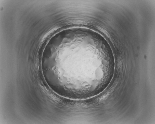 X0000060780979200511171238