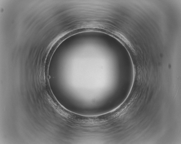 X0000060780980200511171238