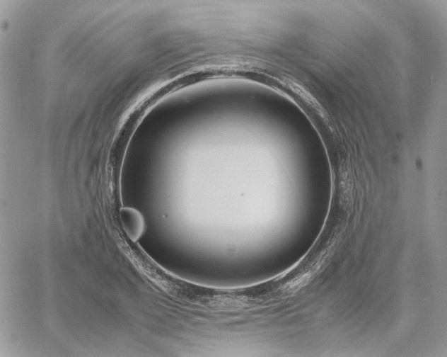 X0000060780981200511171238