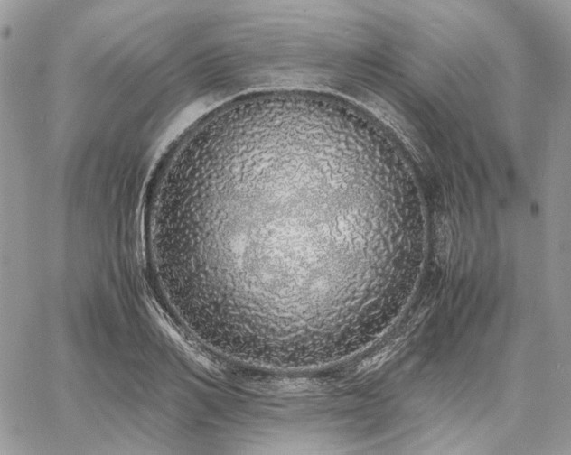 X0000060780982200511171238