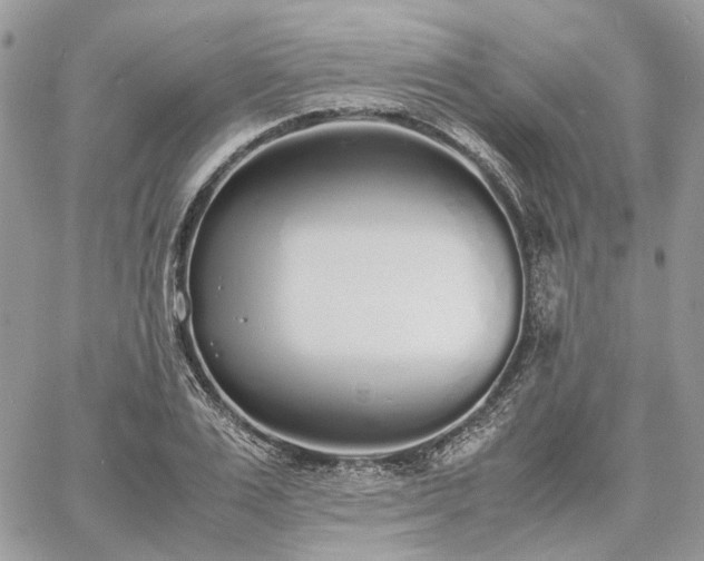 X0000060780983200511171238