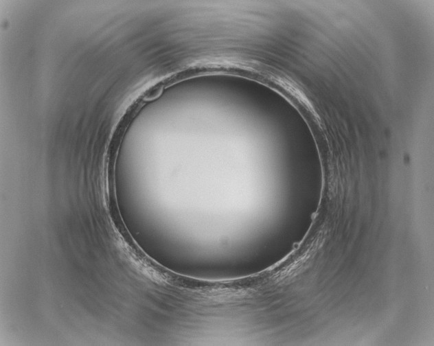 X0000060780984200511171238