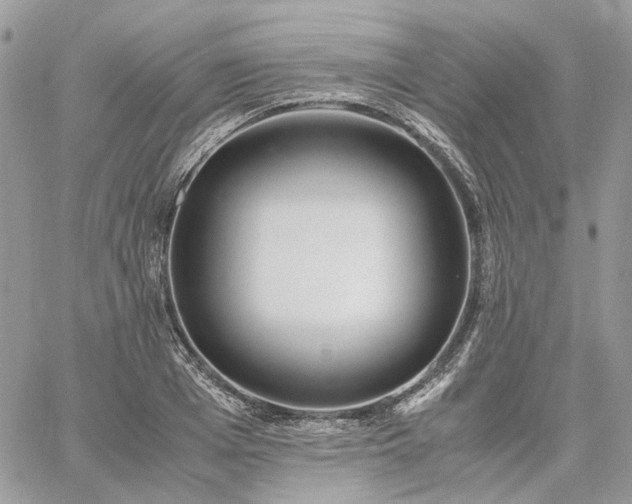 X0000060780985200511171238