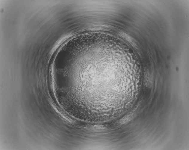 X0000060780986200511171238