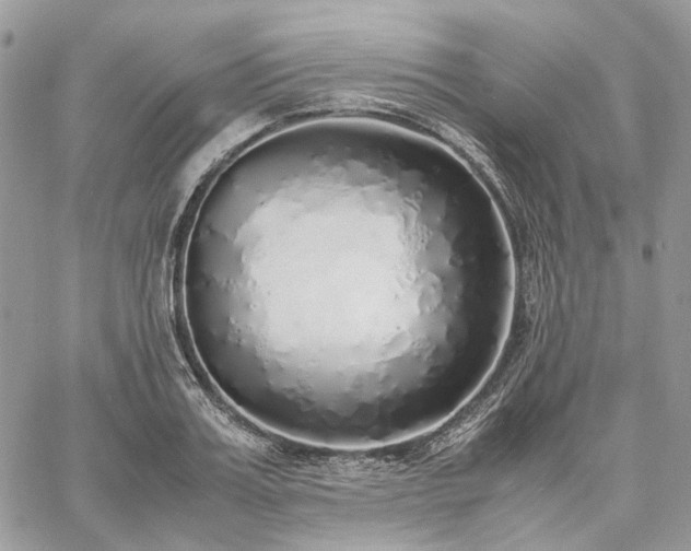 X0000060780987200511171238