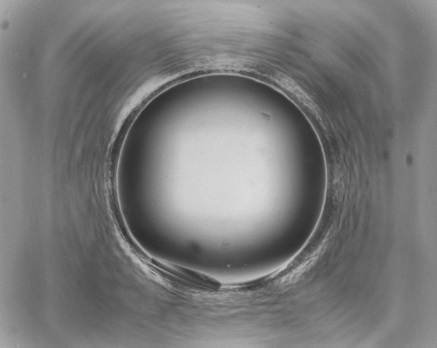 X0000060780989200511171238