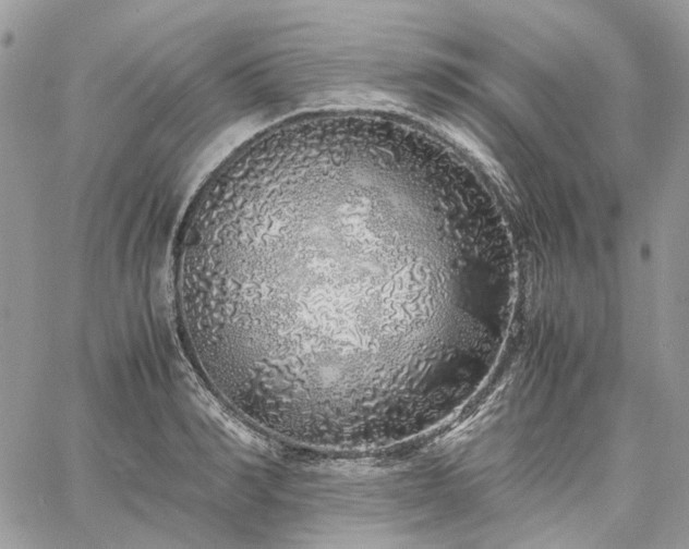 X0000060780990200511171238