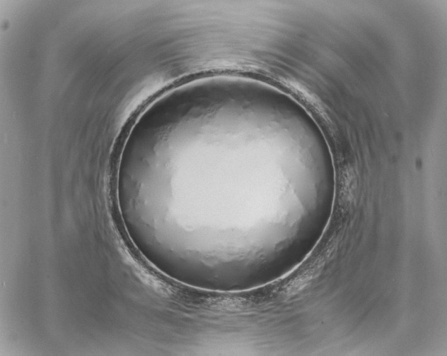 X0000060780991200511171238