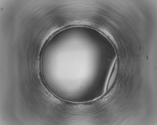 X0000060780992200511171238