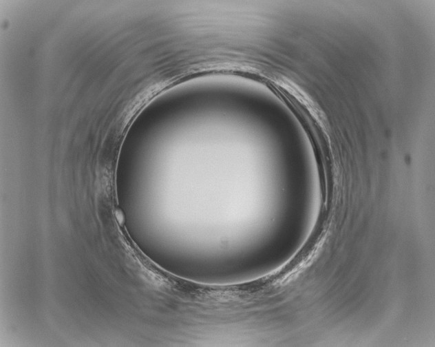 X0000060780993200511171238