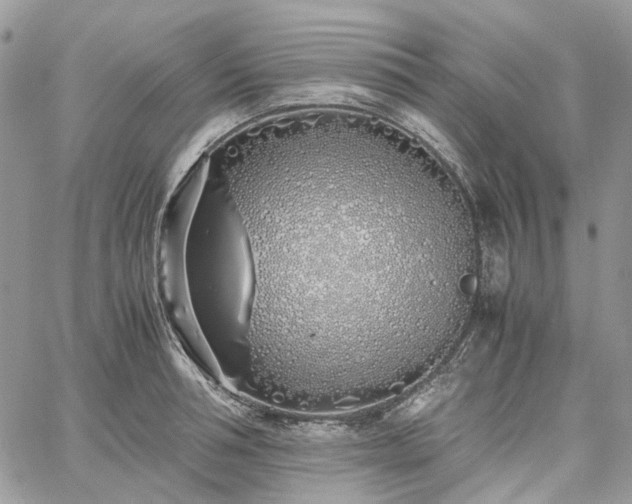 X0000060780994200511171238