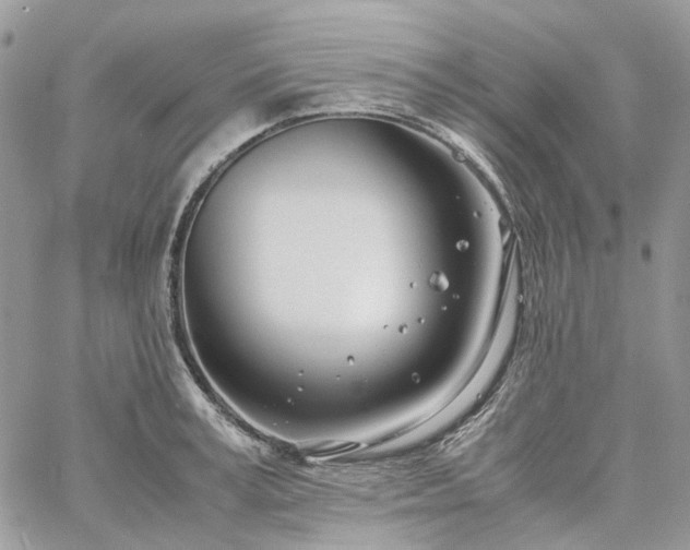 X0000060780995200511171238