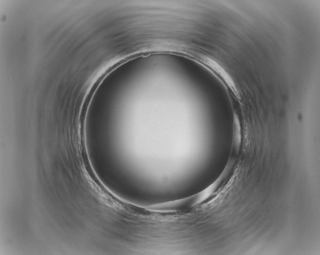 X0000060780996200511171238