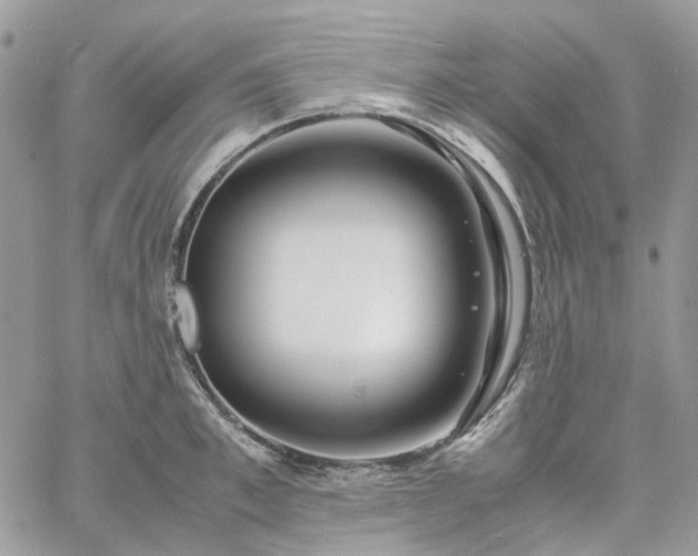 X0000060780997200511171238