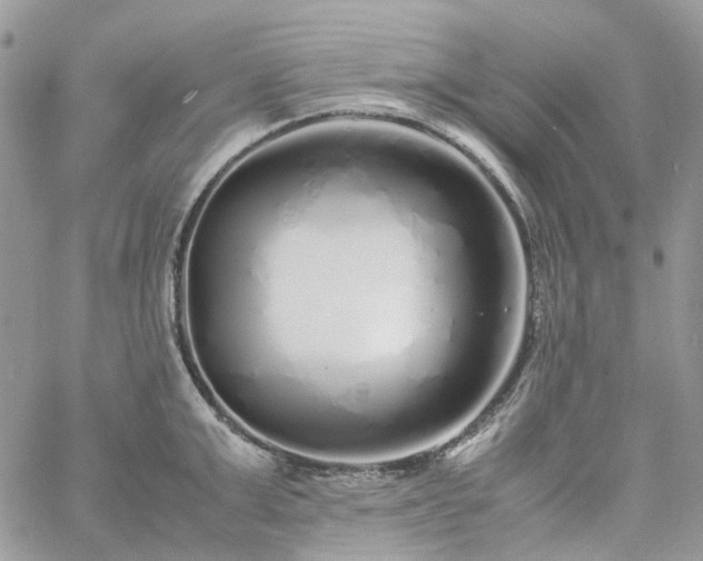 X0000060780999200511171238