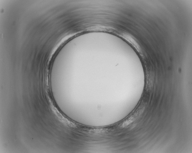 X0000060781000200511171238