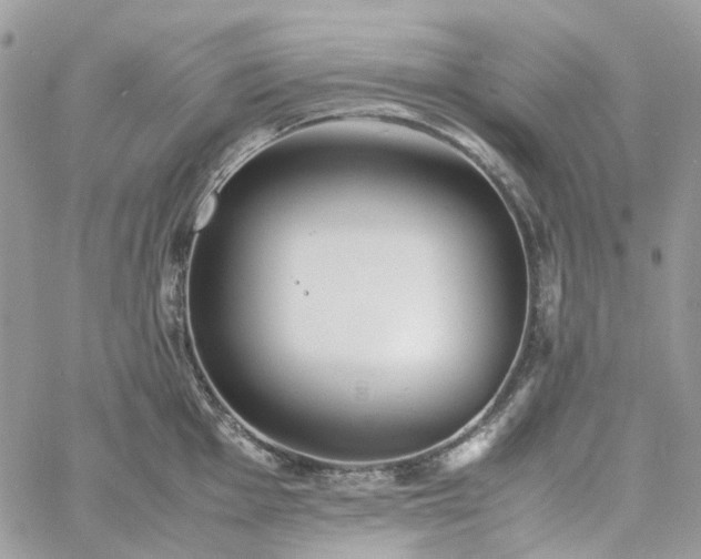 X0000060781001200511171238