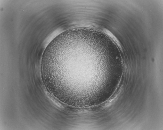 X0000060781002200511171238