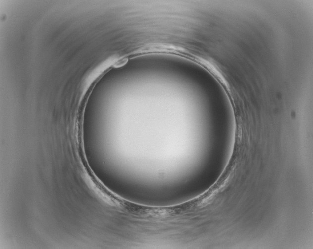 X0000060781003200511171238