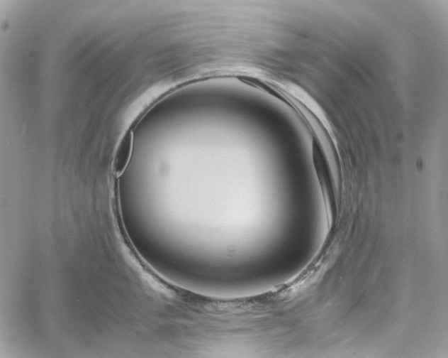 X0000060781005200511171238