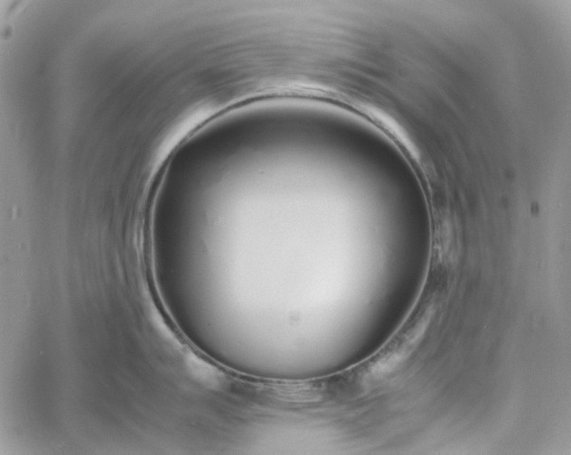 X0000060781007200511171238