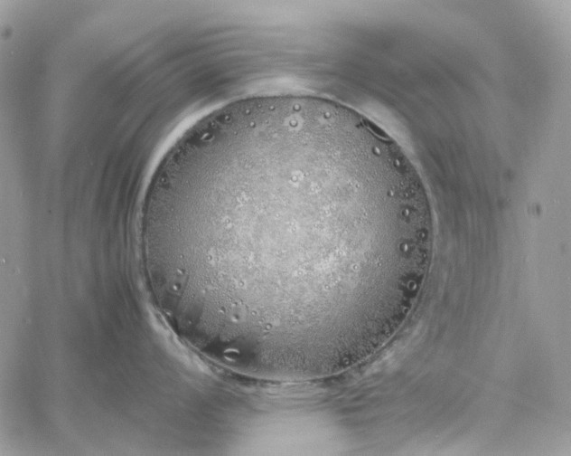 X0000060781008200511171238