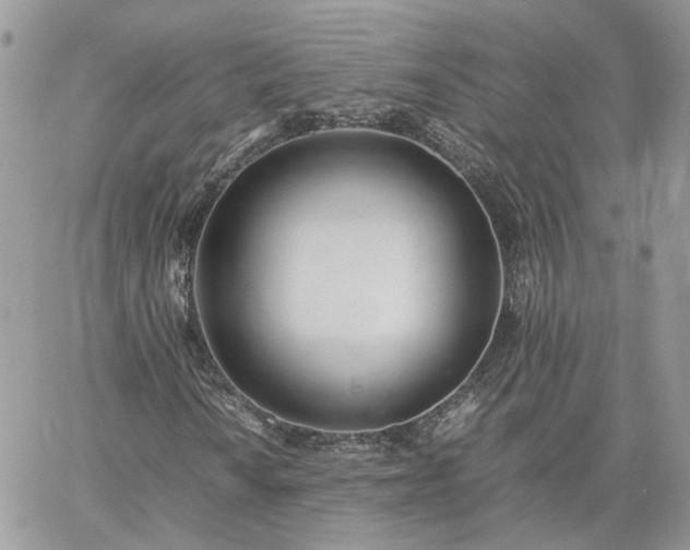 X0000060781010200511171237