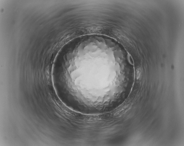 X0000060781011200511171237