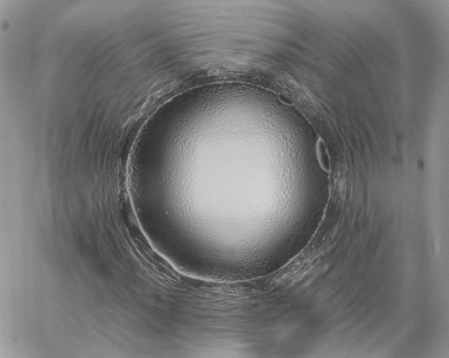 X0000060781012200511171237