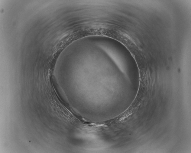 X0000060781013200511171237