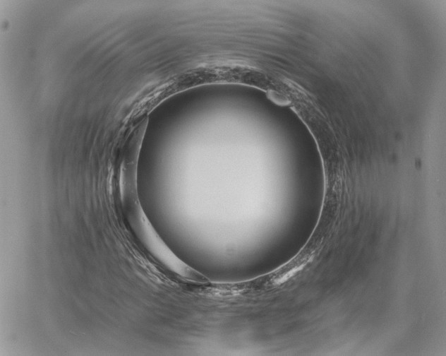 X0000060781014200511171237