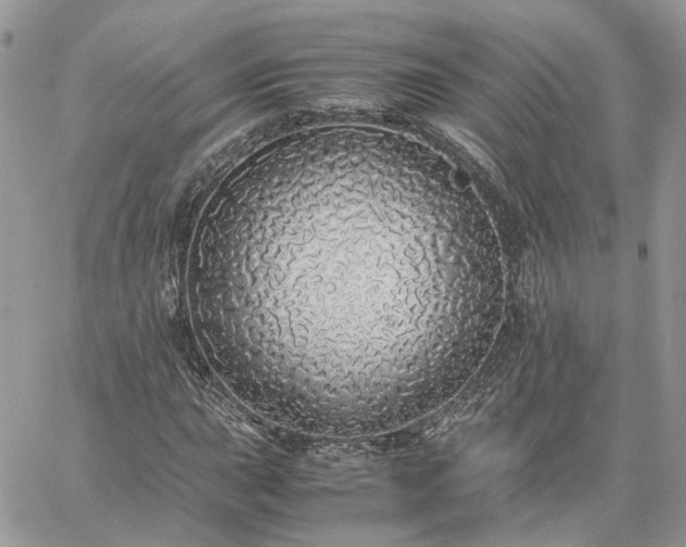 X0000060781015200511171237