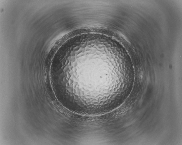 X0000060781016200511171237