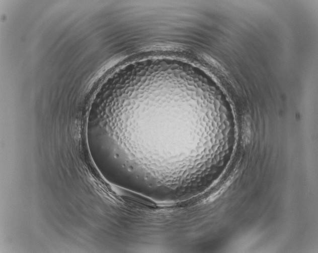 X0000060781017200511171237