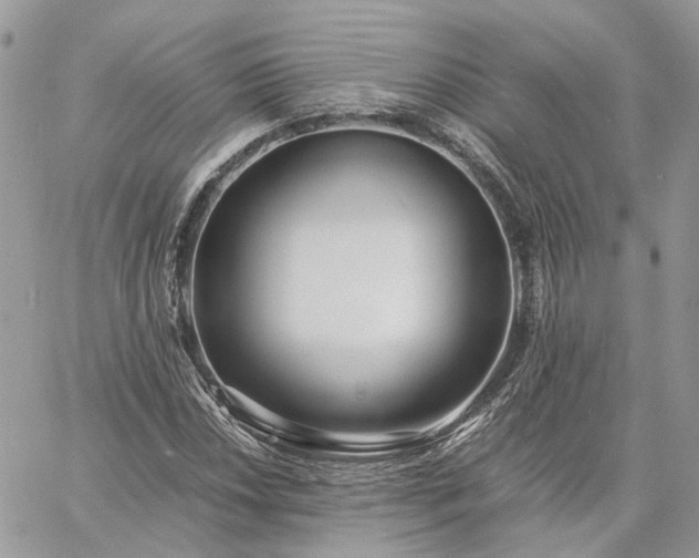 X0000060781018200511171237