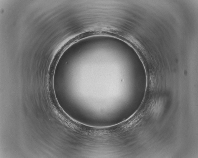 X0000060781020200511171237