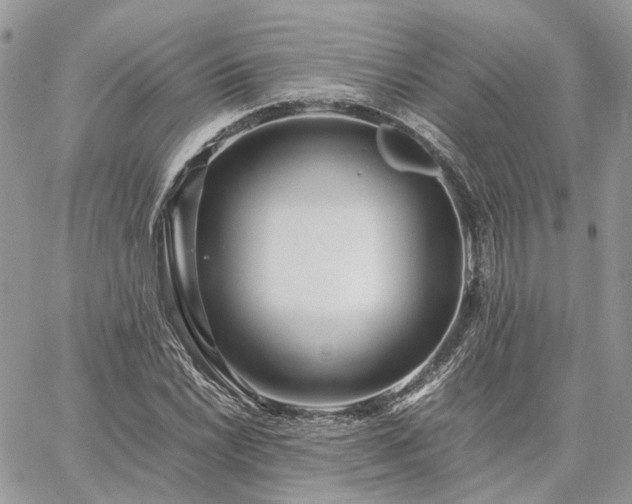 X0000060781022200511171237