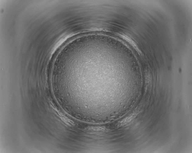 X0000060781023200511171237