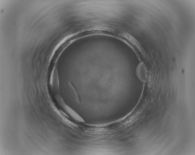 X0000060781024200511171237