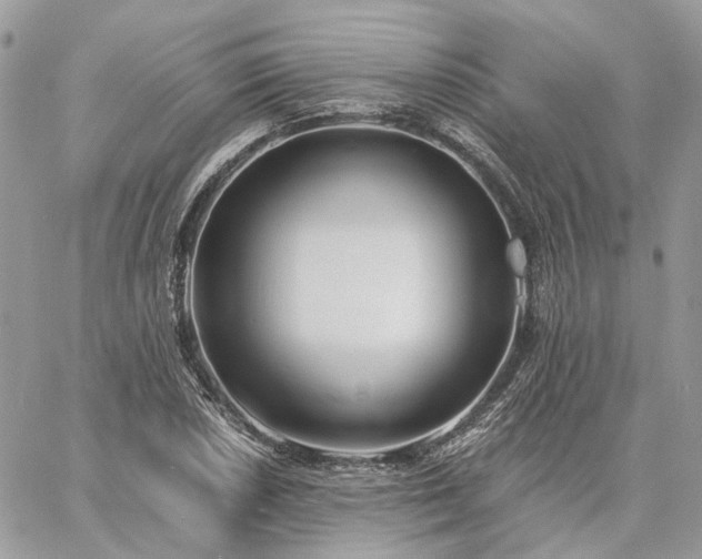 X0000060781026200511171237