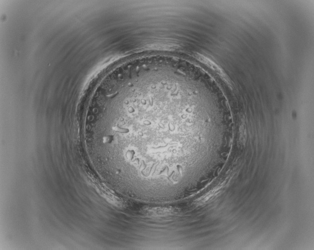 X0000060781027200511171237