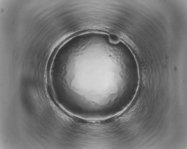 X0000060781028200511171237