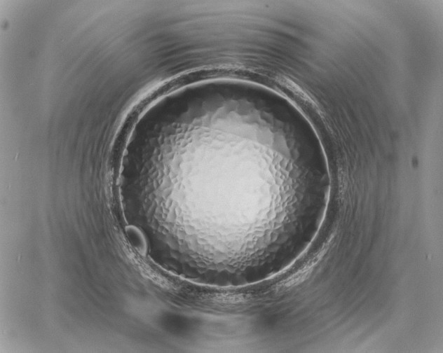 X0000060781029200511171238