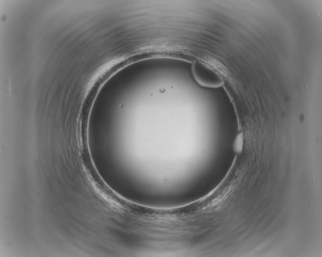 X0000060781030200511171238