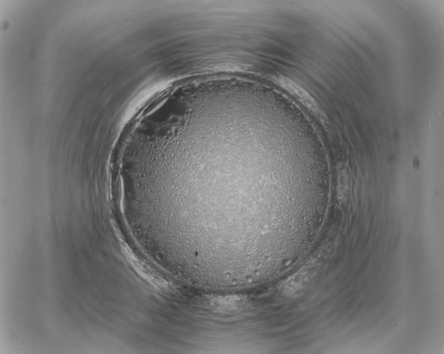 X0000060781031200511171238