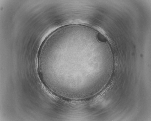 X0000060781032200511171238