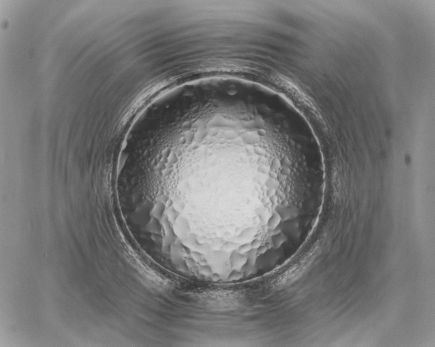 X0000060781033200511171238