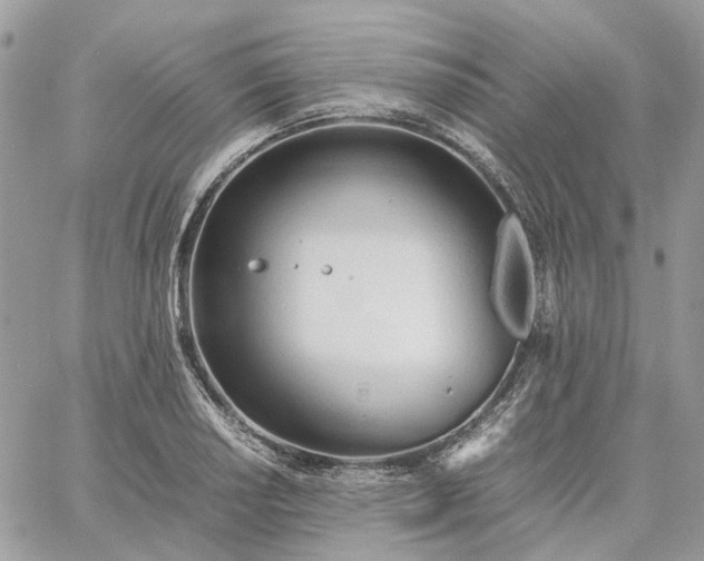 X0000060781034200511171238