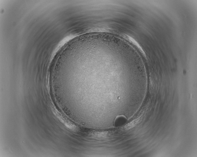 X0000060781035200511171238