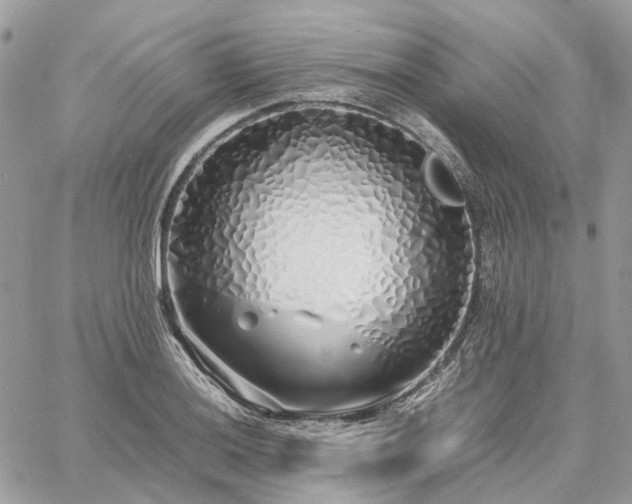 X0000060781036200511171238